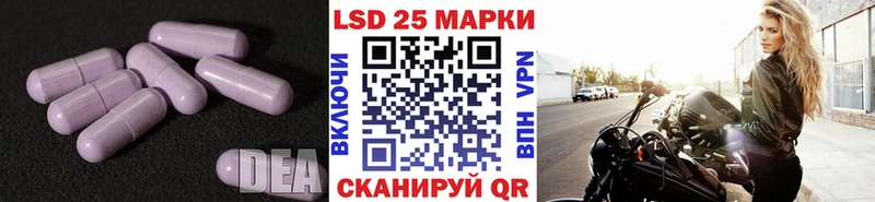 Лсд 25 экстази ecstasy  KRAKEN онион  Болотное 